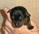 sr 5 Tage alt-3